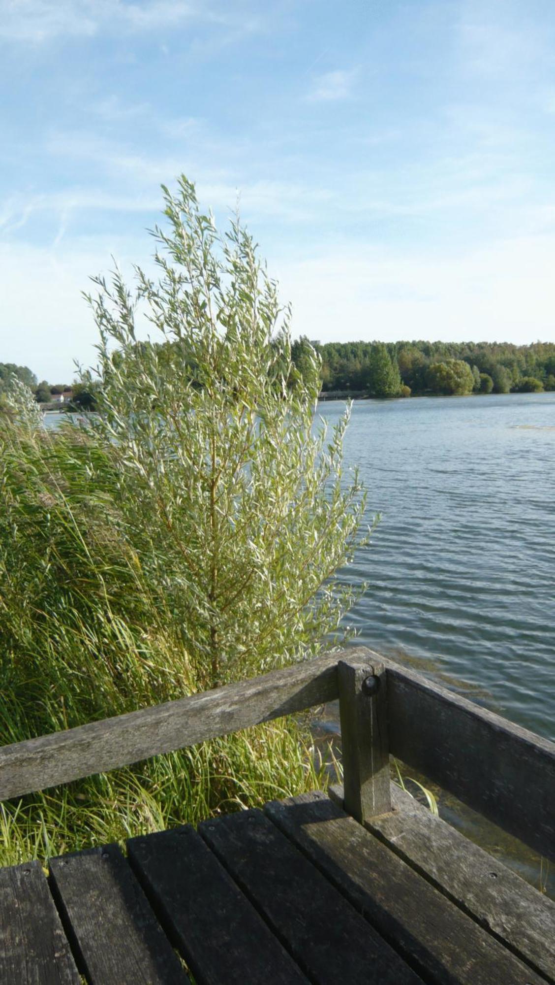 Beau Rivage Nogent-sur-Seine Exterior foto